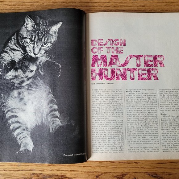 Vintage December 1973 Cat Fancy Photography, Hemingway Cats, - Picture 10 of 16